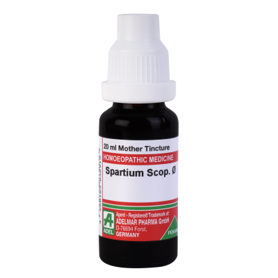 Spartium Scoparium 1X (Q) (20ml)